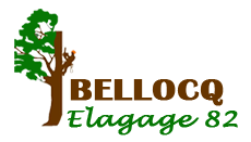 elagage-bellocq-elagage